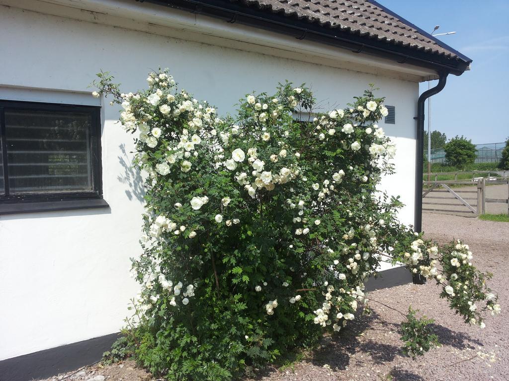 Gasthaus Lagenhet Lillisgarden Vallåkra Exterior foto